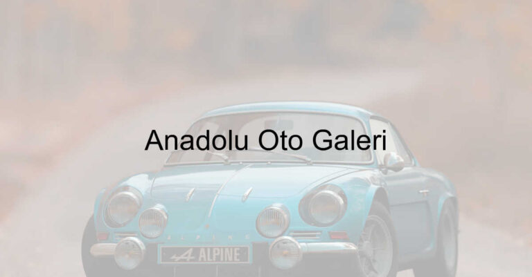 Anadolu Oto Galeri